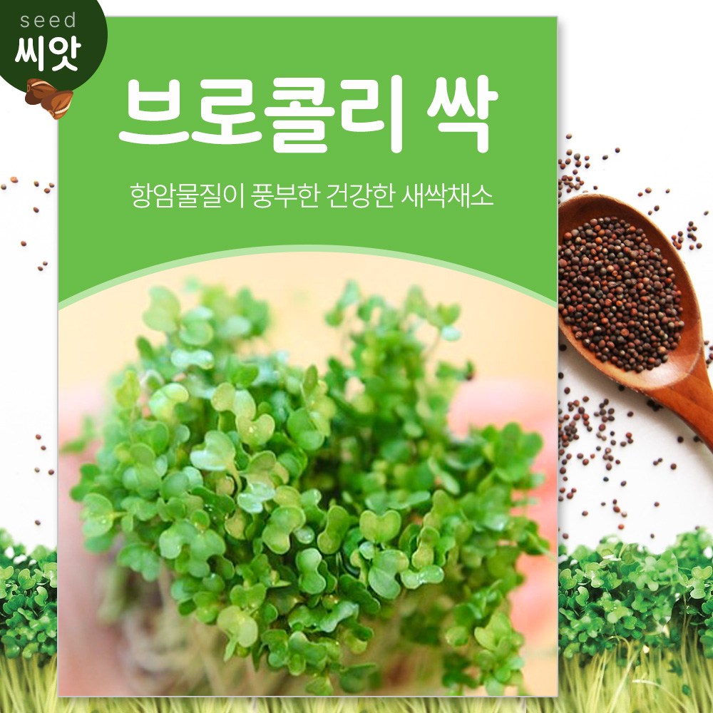 SKFARM 새싹 브로콜리 씨앗 30g 10,000원