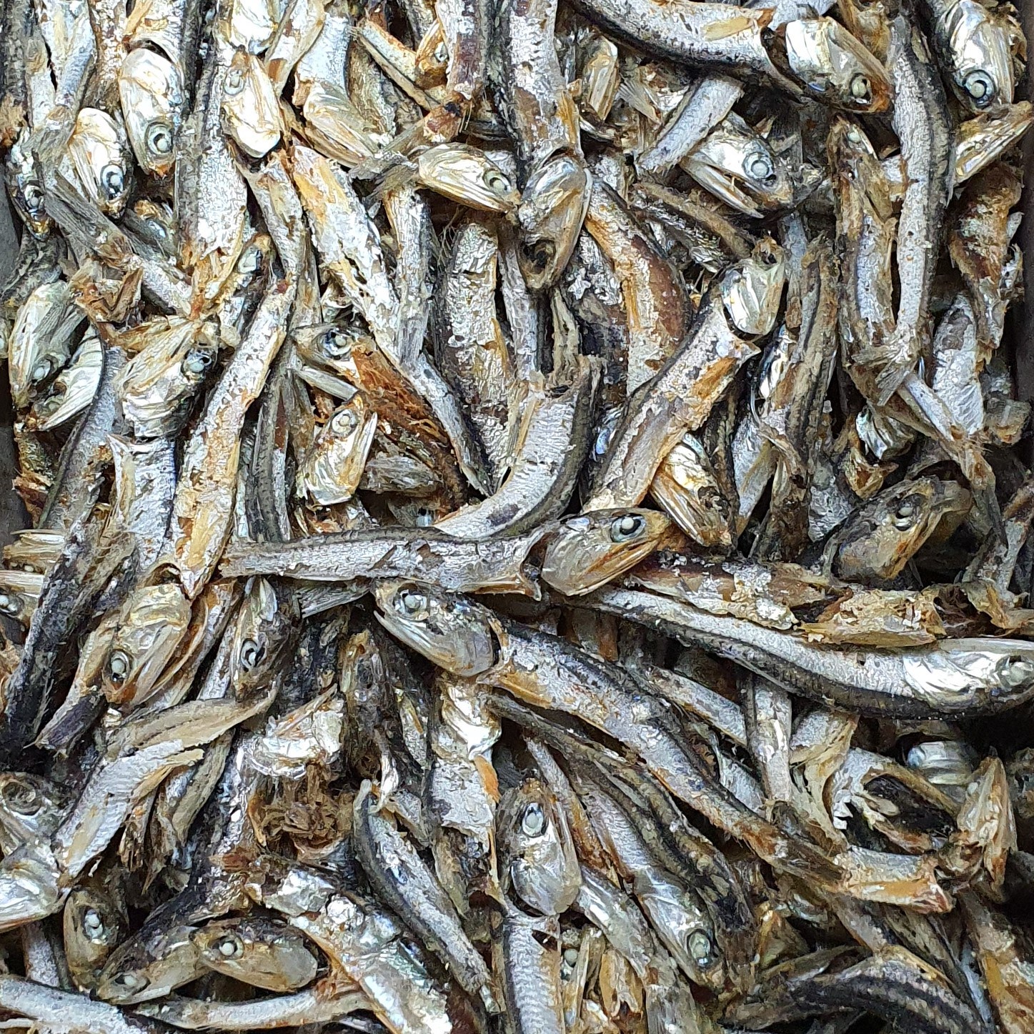 [업소/식당용]국물이 찐한 노란다시멸치 1.5kg , 육수멸치, 국물멸치 14,900원