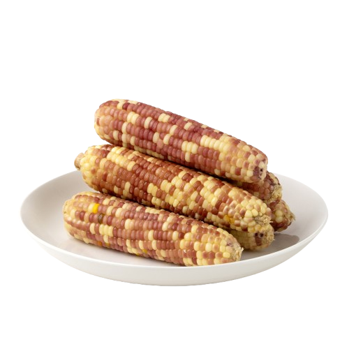 간식 다이어트식 냉동 삶은 찰옥수수 홍찰옥수수 특품(특), 20개, 4.5kg 내외 23,750원