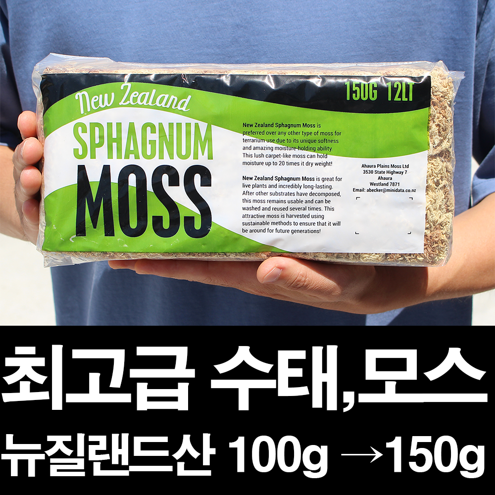 농대나온남자 고급 수태 모스 뉴질랜드산 AA 토피어리 비바리움 파충류 호접란 12,000원