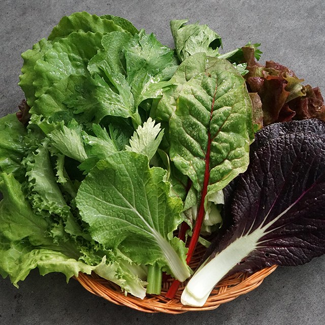 산지직송 유기농 쌈채소 11,900원