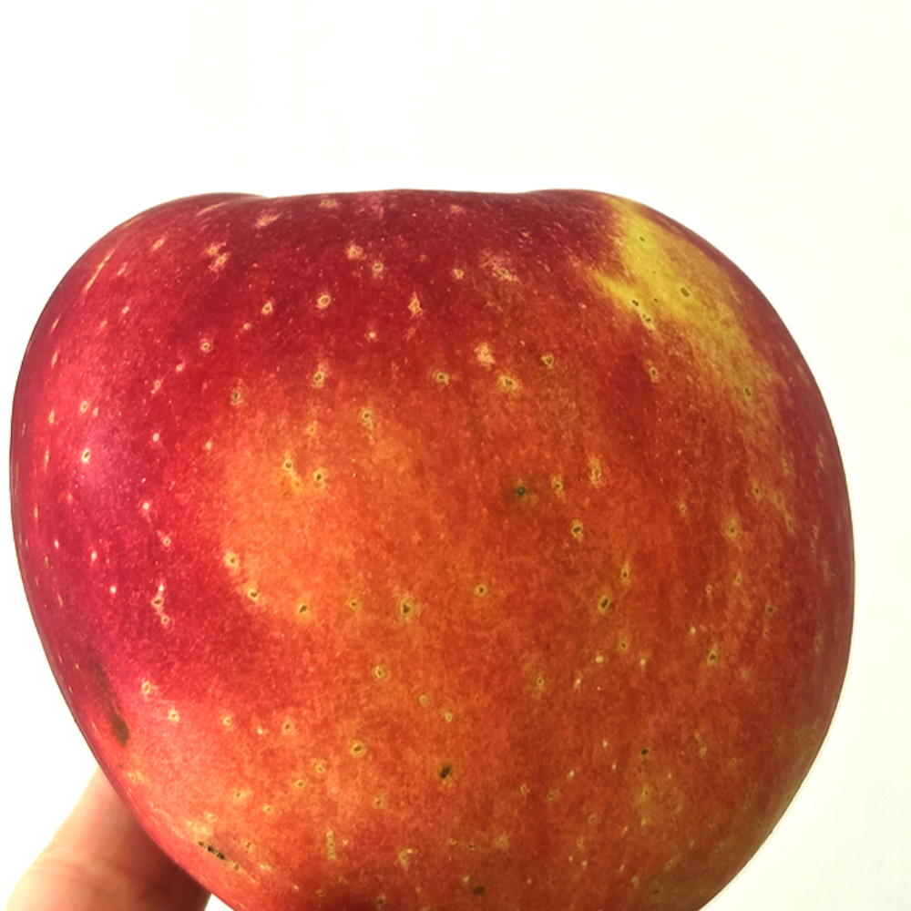 탄탄한 부사사과 못난이사과 빨간사과 쥬스용 32,400원