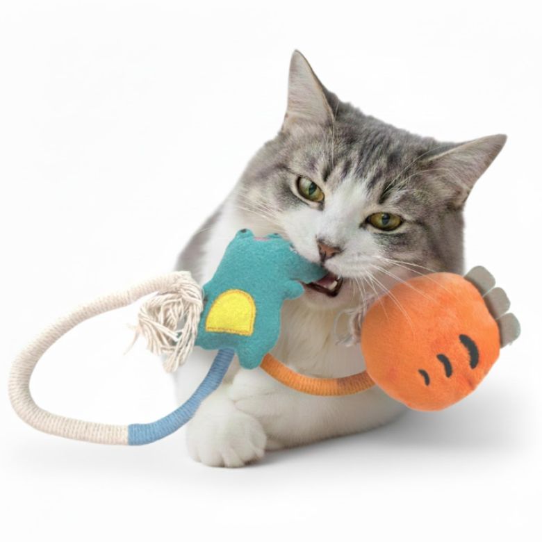 테일즈락 면끈 고양이 이갈이 장난감 스트레스 해소, 1세트, 악어당그니 12,500원