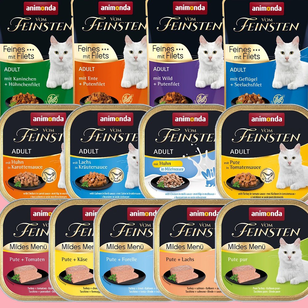 애니몬다 봄파인스텐 고양이 사각캔 100g 2,000원