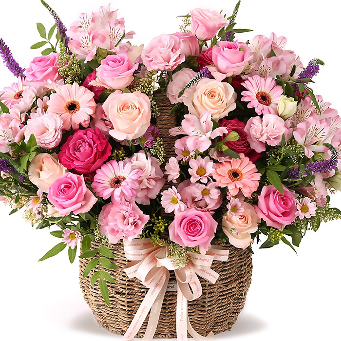 119플라워 (당일배송) 오늘 행복 ST-A1880 꽃바구니 꽃배달서비스 당일꽃배달 전국꽃배달 생일 기념일 꽃선물 생화 꽃배달, 1개, 혼합 96,000원