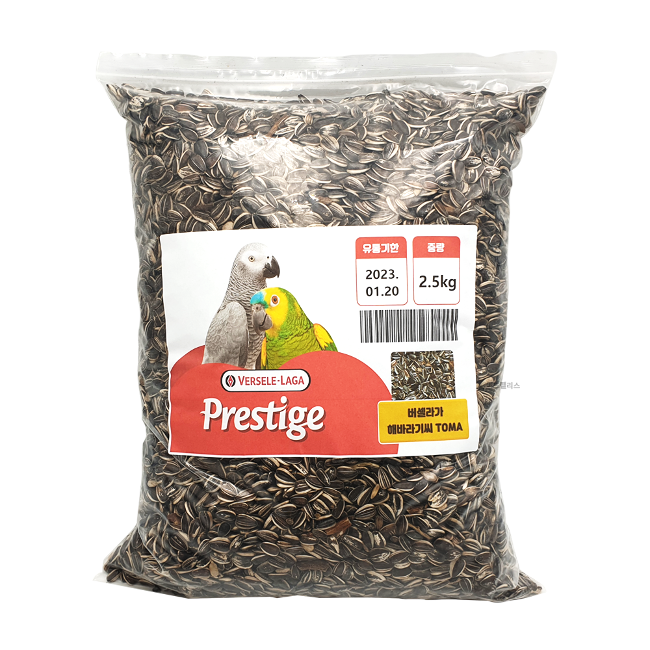 버셀라가 토마 해바라기씨 2.5kg 쟈딘 카이큐 회색 아마존 청금강, 1개, 2.5kg 17,000원