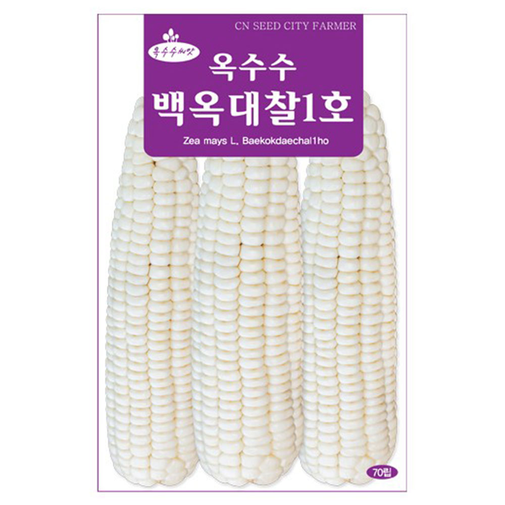 백옥대찰1호 옥수수씨앗 찰옥수수씨 70립, 현재가 11,200원