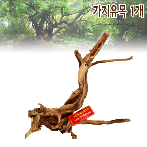 샘아쿠아 에이스 프리미엄 가지 유목 1개 (15~25cm) 4,500원