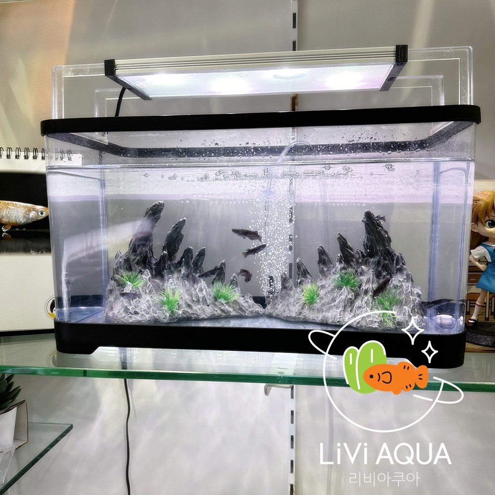 리비아쿠아 안깨지는 신소재 어항 거북이 열대어 수족관, 블랙 58,600원