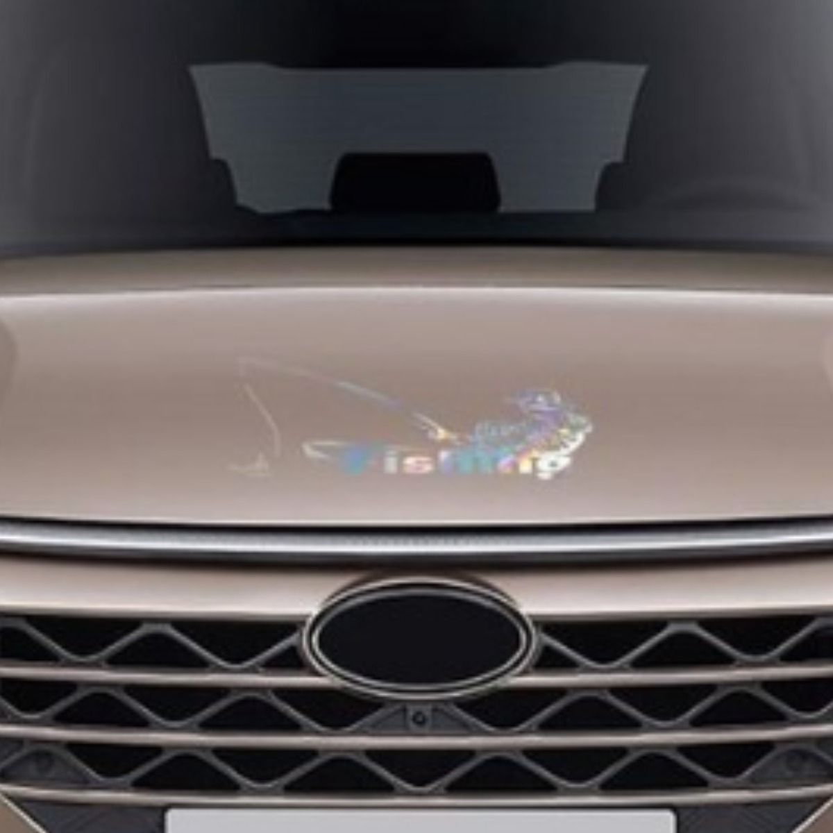 자동차포인트 057 낚시 피싱 취미 튜닝스티커, 홀로그램, 1개 4,900원