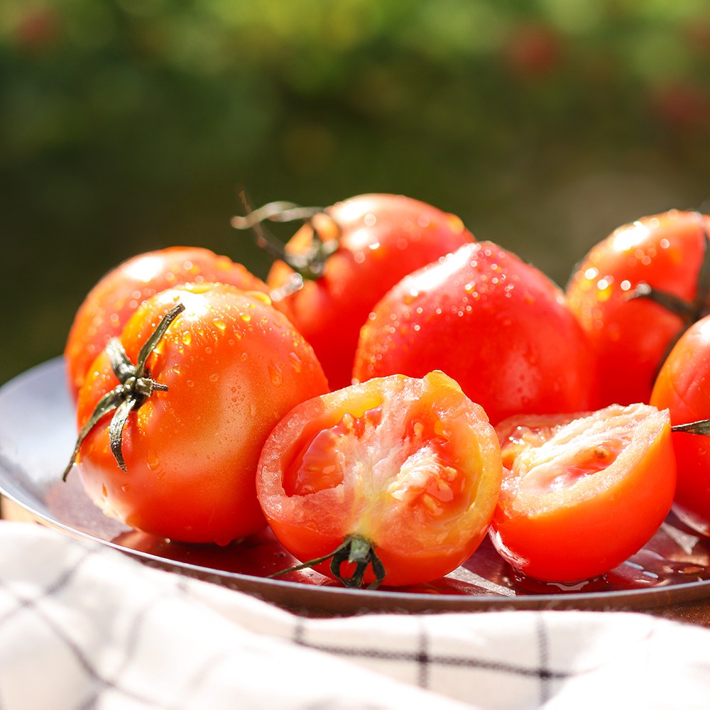백화점 납품용 완숙 토마토 유럽종, 1박스, 2-3번과 3kg 43,700원