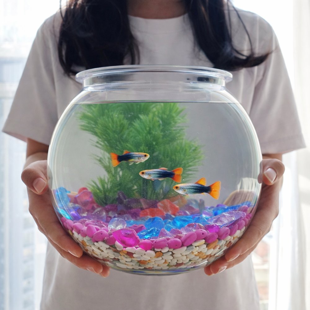 기포기 필요없는 구피 금붕어 베타 어항 세트 살아숨쉬는 세라믹스톤 29,900원