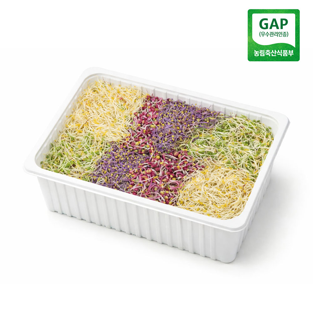 [신선보장] 새싹 채소 모듬채소 비빔밥채소, 1개, 500g 9,900원