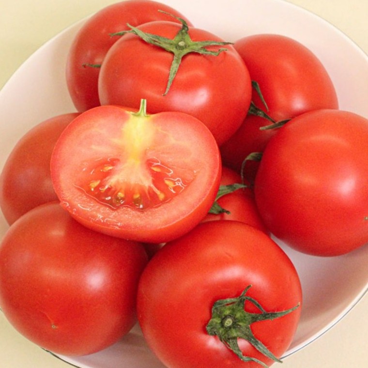 못난이 완숙토마토 유럽종 가정용 대용량 28,000원