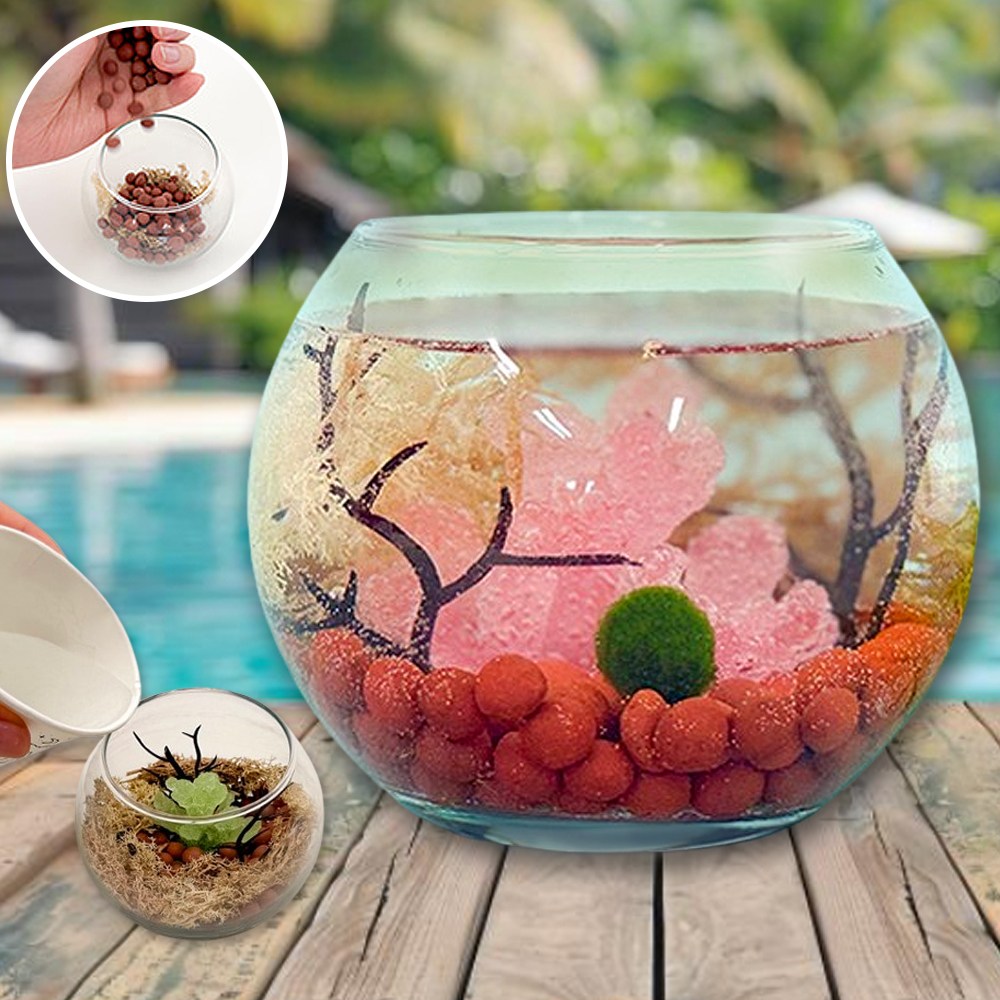 마리모 키우기 세트 관리가쉬운 마리모세트 키트 식목일 DIY 수경화분 어항 수중식물 5,040원