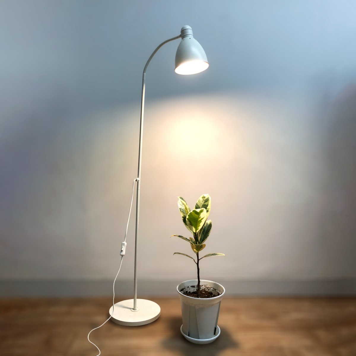 식물전파사 빛타민, 식물등 LED 식물조명 성장 생장 19,900원