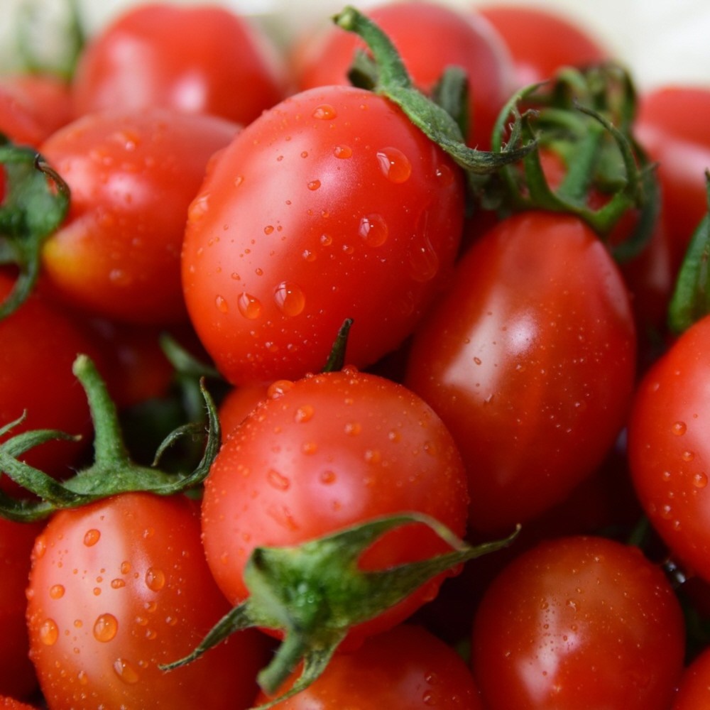 대추방울토마토 5kg 대 mid+2843cK 47,700원