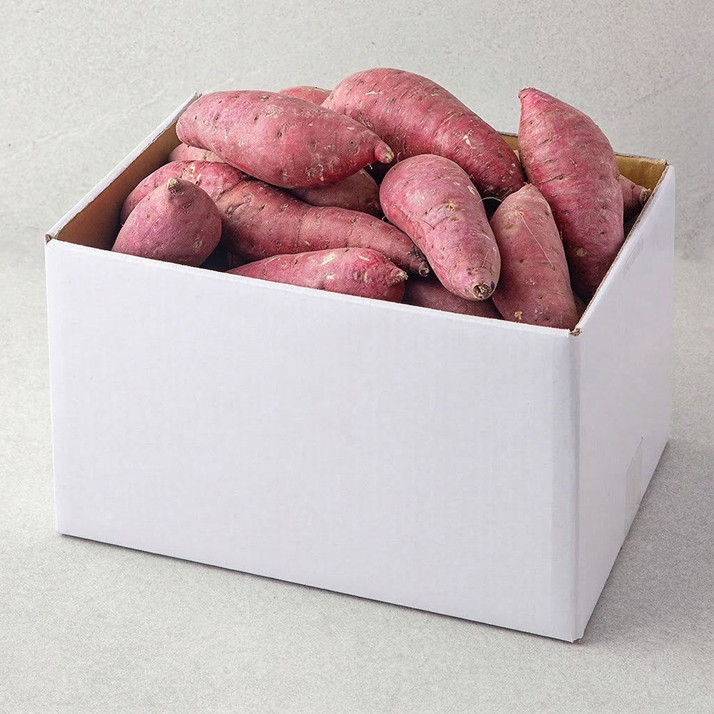 해남 꿀고구마 20,990원