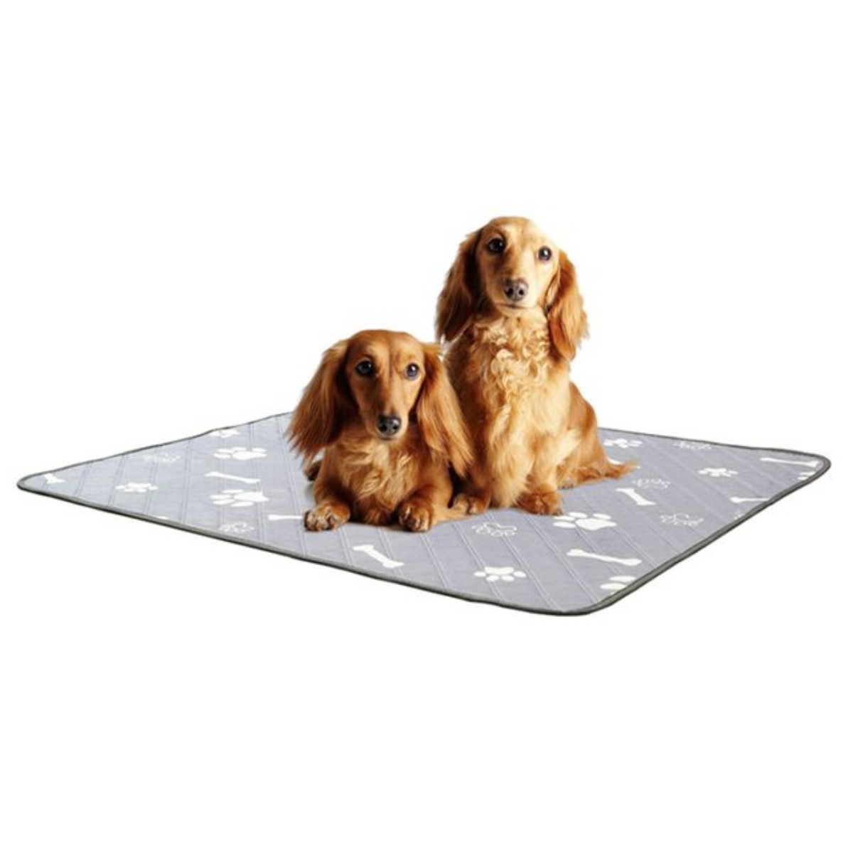 키밍 빨아쓰는 배변패드 애견 강아지 고양이 배변매트 60x45cm 8,940원