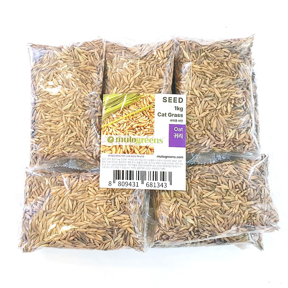 새싹보리씨앗 1kg 보리 귀리 밀 씨앗 직접 재배 보리새싹 키우기 13,500원