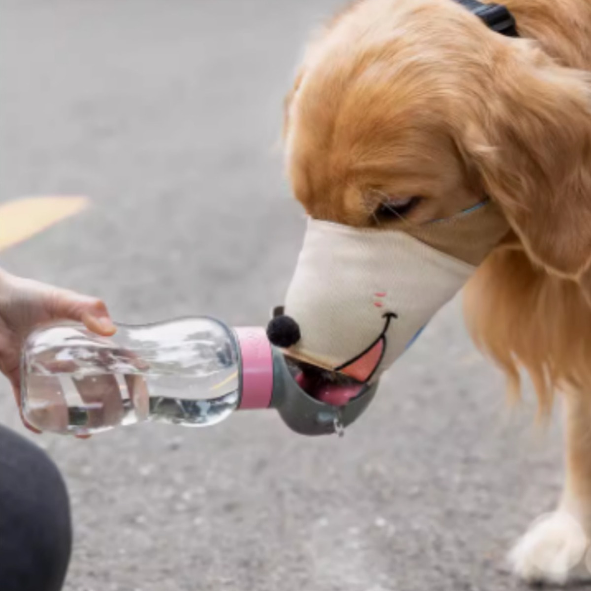 엠디픽 강아지 입마개 애견 짖음방지 입질방지 소형견 중형견 대형견, 1개 14,900원