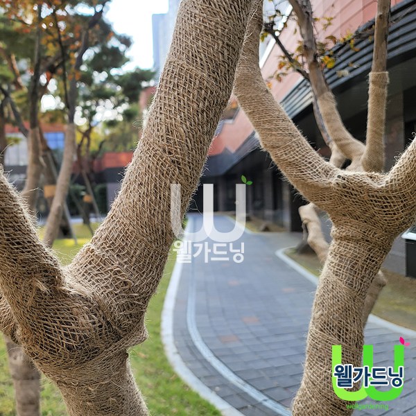 조이가든센터 녹화마대 - 쥬트테이프, 녹화끈, 수목보온, 월동자재, 조경자재 4,000원