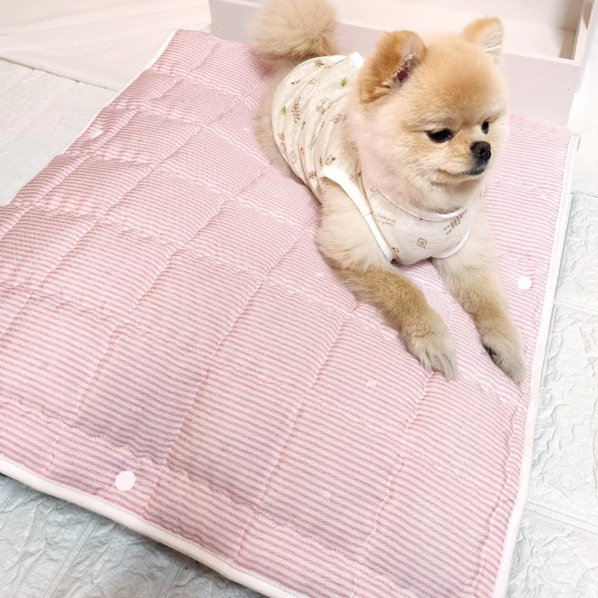 해피앤퍼피 강아지쿨매트 원터치 세탁방석 22,800원