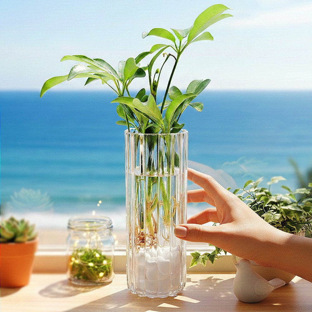 수경재배식물 수생식물 키우기 아크릴 투명 화분 만들기 세트 DIY 7,350원