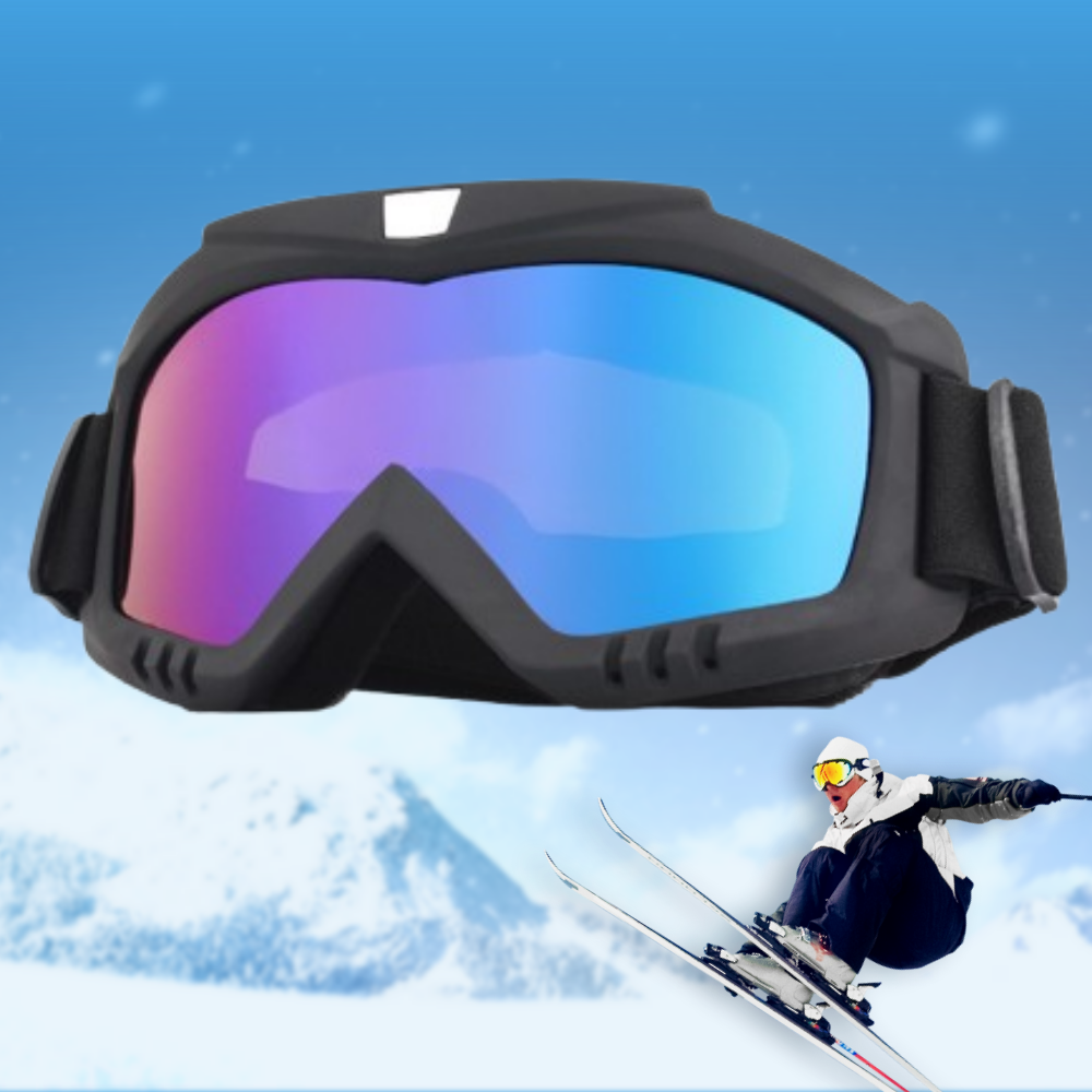 이즈몰 스노우 보드 스키 방풍 오토바이 고글 4종 8,900원