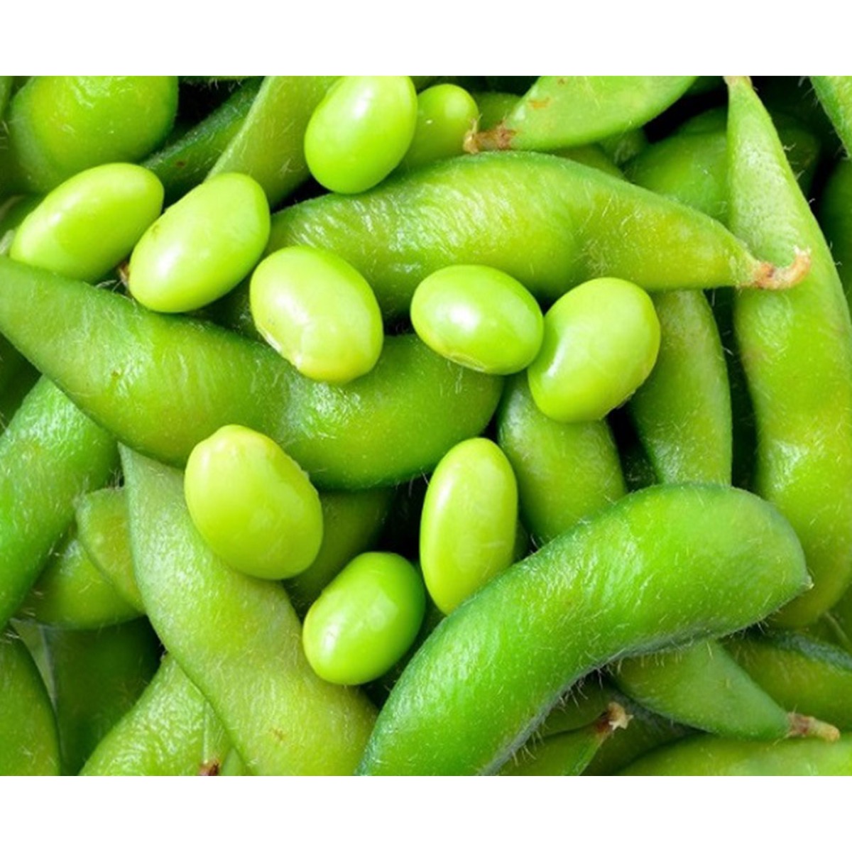 [씨기프트]자숙대두콩 450gX15개 1박스 에다마메 도매 업소 안주 풋콩 대두콩, 450g, 15개 36,900원