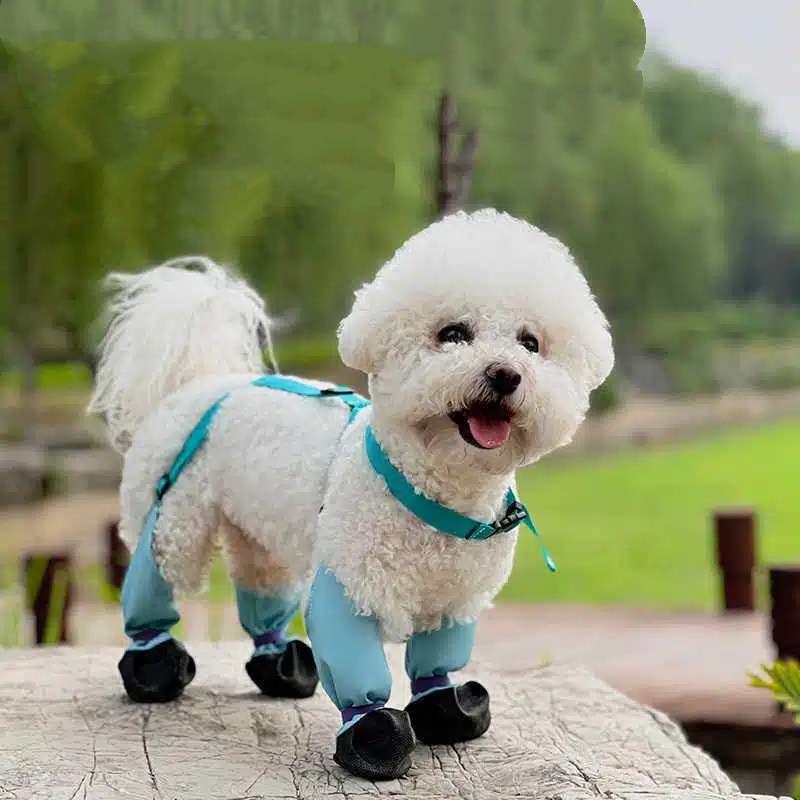 AD4707애완동물 반려동물 겨울 강아지 애견 반려견 장화 방수 미끄럼방지 사계절용 하네스 일체형 신발 슈즈 부츠 야외 산책 등산용 21,600원
