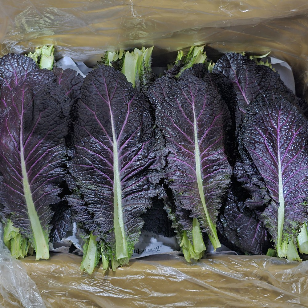 클릭마켓 국내산 적겨자 2kg 겨자잎, 1개, 2kg 10,800원