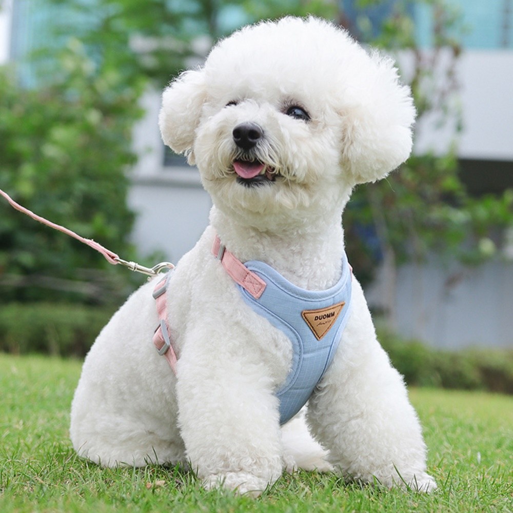 디아쿠아 강아지 고양이 바디핏 하네스 리드줄 세트 8,900원