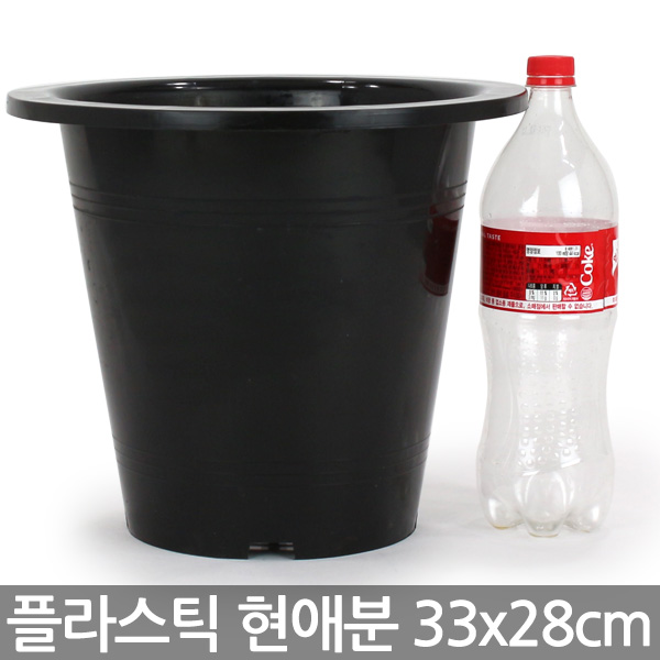 현애분 6~10호 - 검정 플라스틱 화분 베란다화분 꽃화분 대형화분 플라스틱화분 검정화분 블랙 화이트 흰색 파란화분 2,600원