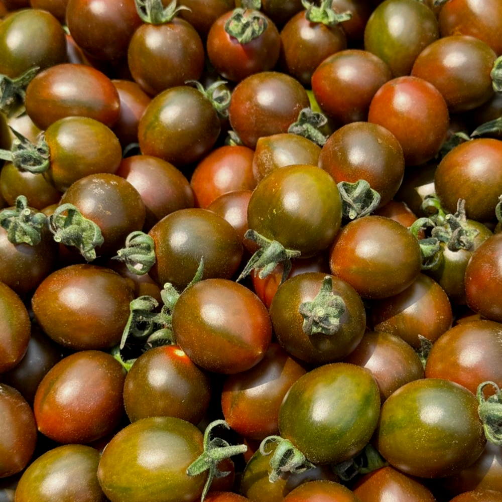 싱싱냠냠 당일수확 흑대추방울 토마토 9,600원