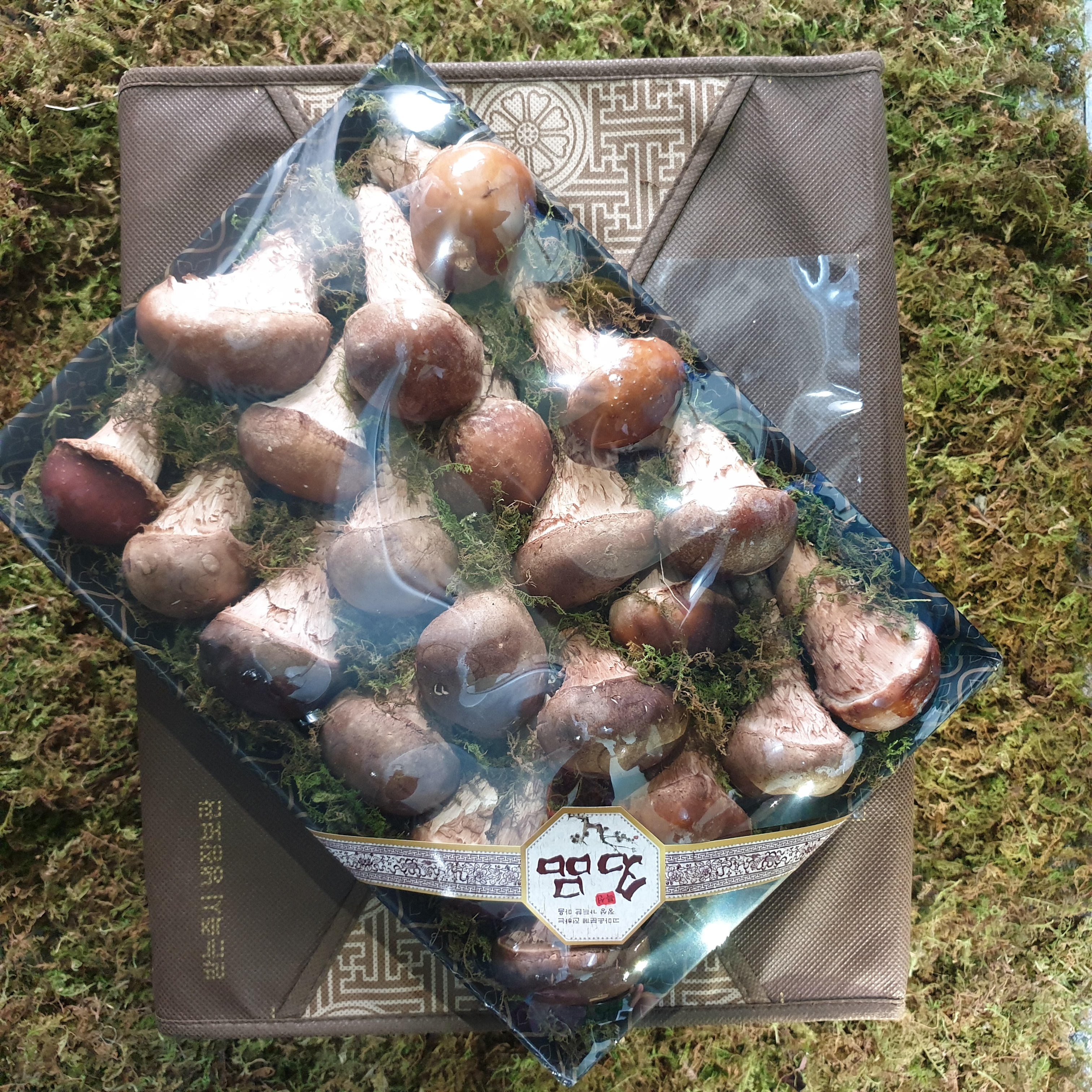 [친환경 만족도1등]곡성 참송이버섯 100%국산배지만 사용 (중국산 주의/2시이전 주문시 내일도착), 1박스, 참송이 실속선물세트 69,800원