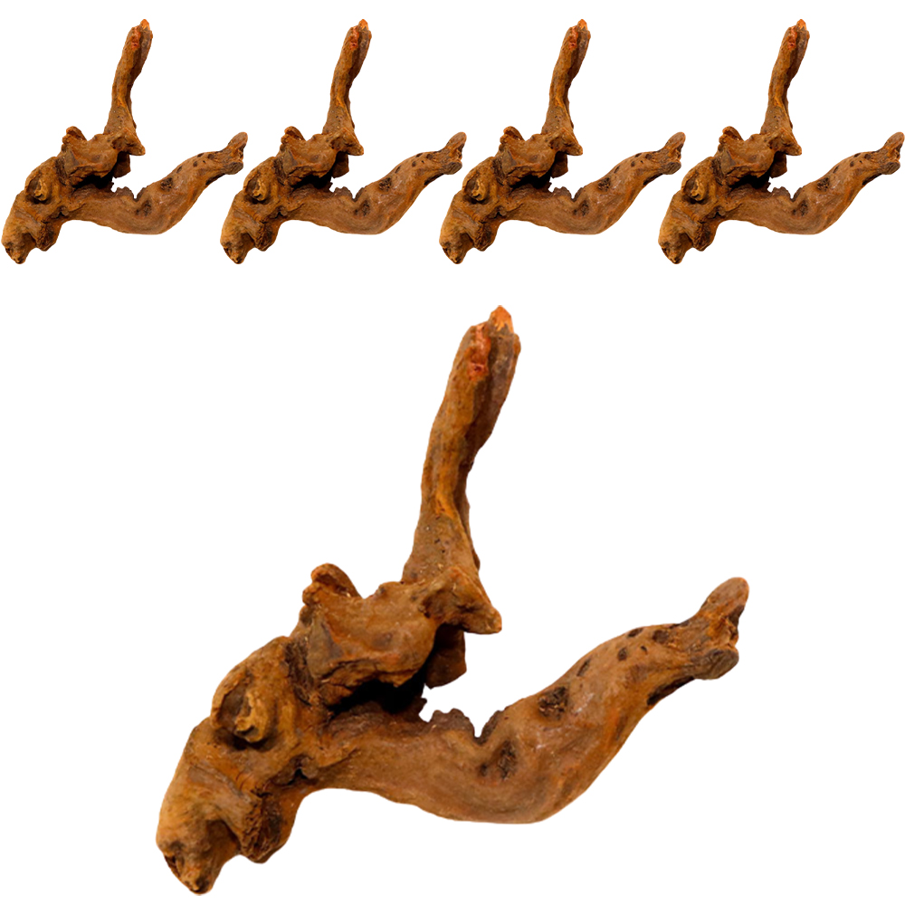 미미네아쿠아 세척 유목 랜덤발송 5p 11,000원