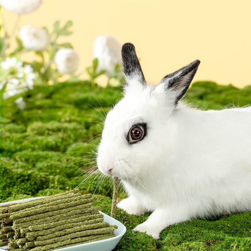 YEE 대용량 건초스틱 이갈이 1캔 토끼 기니피그 친칠라 간식 14,500원