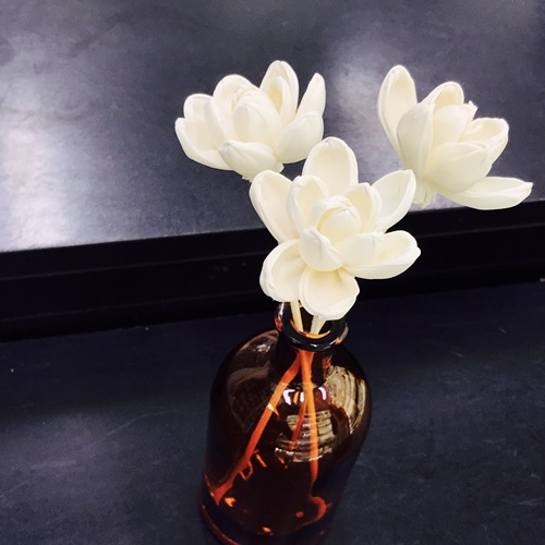 캔들바다 디퓨저스틱 - 매그놀리아 #플라워스틱 #예쁜디퓨저스틱 #꽃스틱, 1개 1,090원