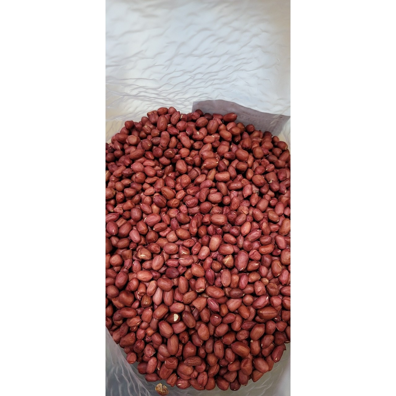 수입산 생땅콩/알탕콩 PEANUT KERNELS 1박스(20kg) / 5kg x 4팩, 4개 220,000원