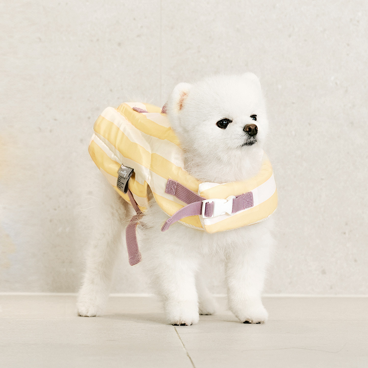 울리 강아지 우리 댕댕이 구명조끼 13,200원