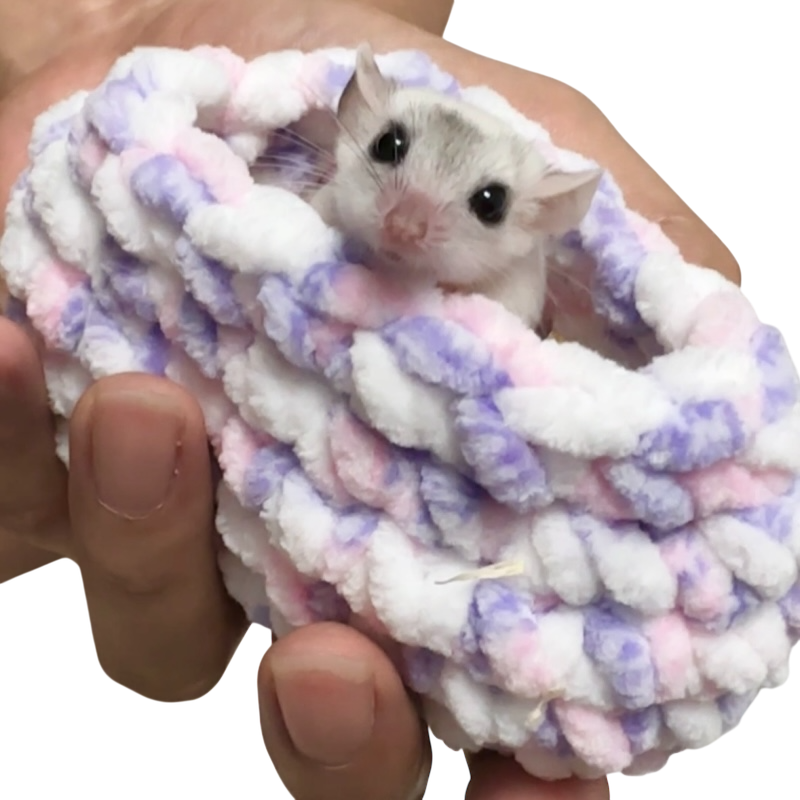 피그미 다람쥐 소동물 핸드메이드 물림방지 교감 포치, 1개, 핑크보라 9,000원