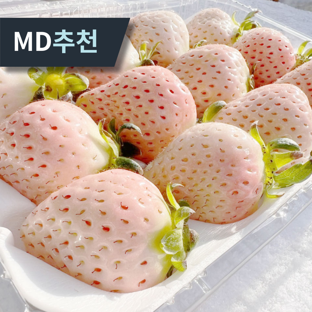 [프리미엄 고당도] 최상품 하얀딸기 신데렐라딸기 생딸기 89,800원