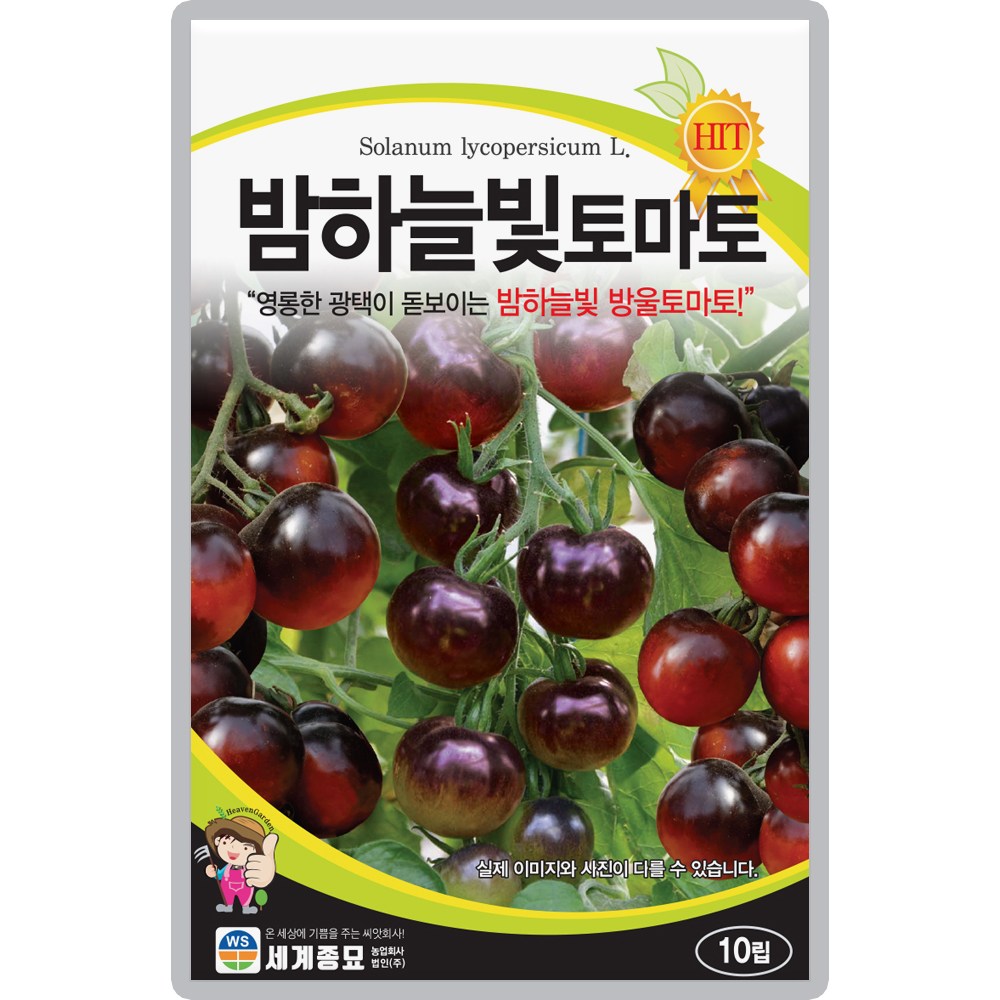 산들마켓 밤하늘빛 토마토씨앗 10립 검은빛깔의 라이코펜 안토시아닌 항량이 높은 방울토마토씨 종자 5,480원