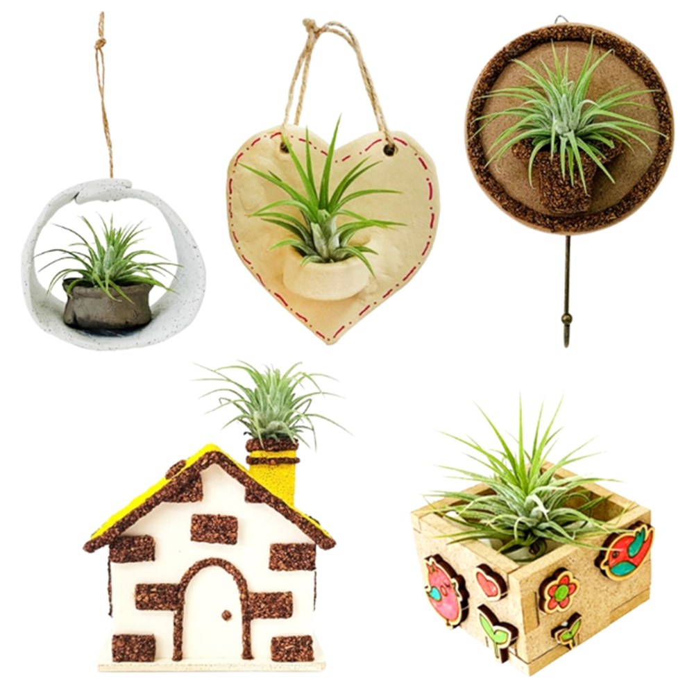 이오난사화분 만들기 공기정화식물 diy 키트 4,850원