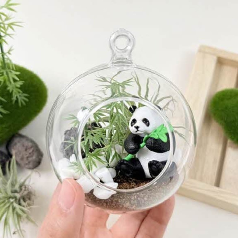 테라리움 키트 이오난사 테라리움 만들기 봄 원예활동 재료, 10세트 58,050원