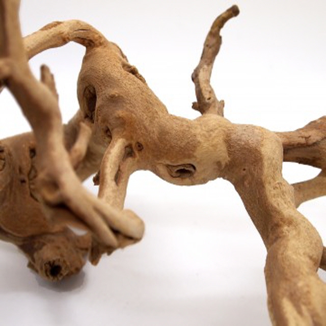 세틀 포도유목 (45~60cm) 24,750원