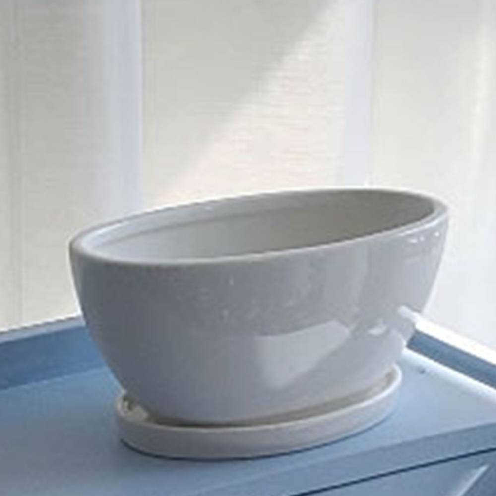 모던 백색유광화분 도기 타원형 화분 22X10X10CM 11,020원