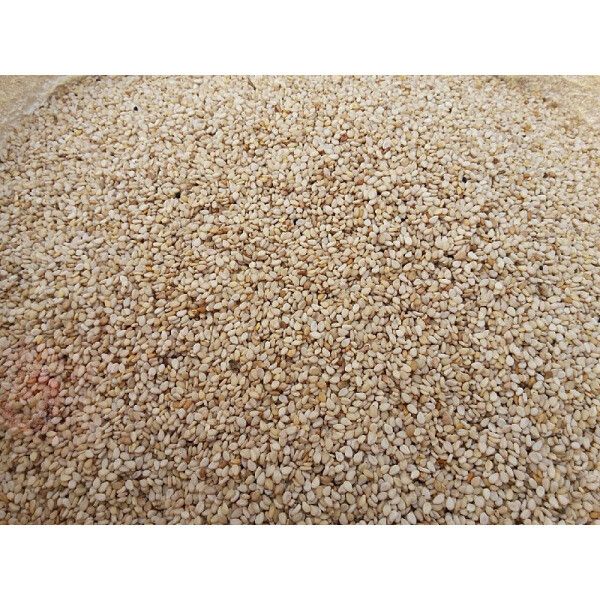 산지직송 올해 수확 국산 햇 참깨 1kg 고급형 41,300원