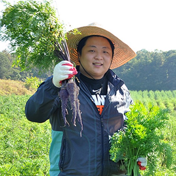 산지직송 여주 신선한 햇 자색당근 16,800원